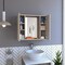 Tuhome Artemisa Medicine Cabinet, Double Door, Mirror, One External Shelf, Light Gray GLZ6751 - alternate 5